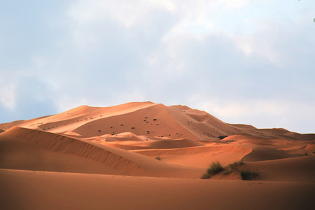 Sahara Desert  Morocco 07