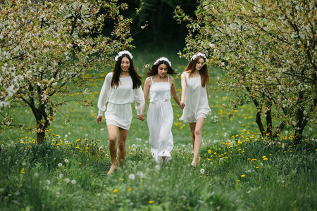 Three charming girls  in a garden