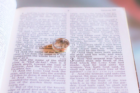 Wedding rings on the bible