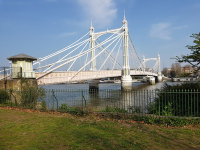 View of the Albert bridge London England