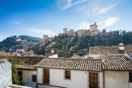 View of the Alhambra of Granada from the Albaicin