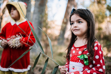 Children disguised to christmas in the forest with their family