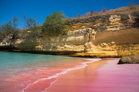 Pink Beaches of Indonesia 2