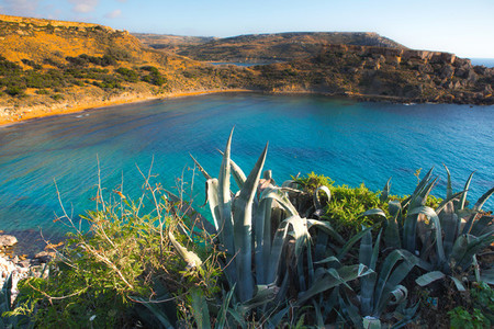 The Island of Malta and Gozo 7