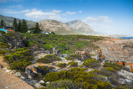 Cape Town  South Africa
