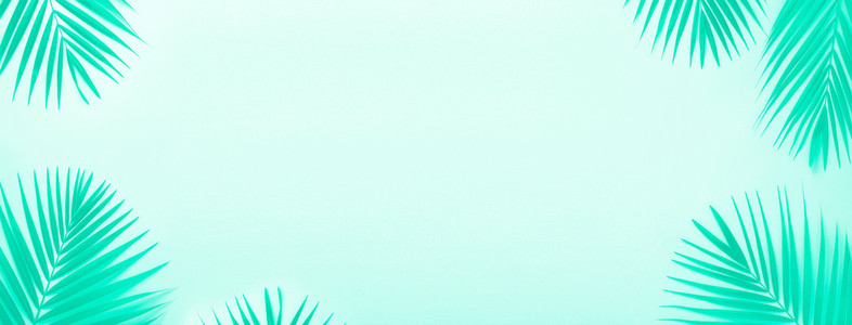 Tropical palm leaves on mint color background Minimal summer concept Trendy green and turquoise color Top view green leaf on punchy turquoise paper Banner