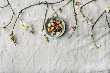 Easter flat lay with quail eggs and almond tree branches