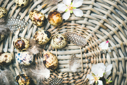Natural colored quail eggs for Easter with flowers and feathers