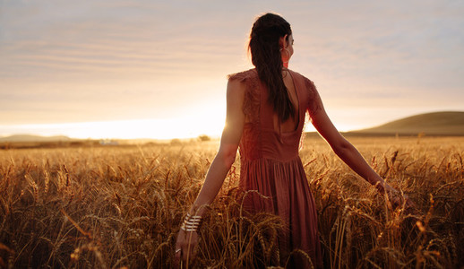 Carefree woman strolling in the wheat field