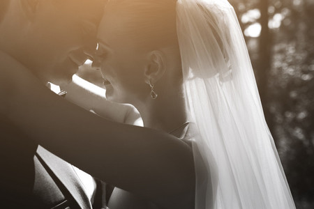Beautiful wedding couple posing in silhouette