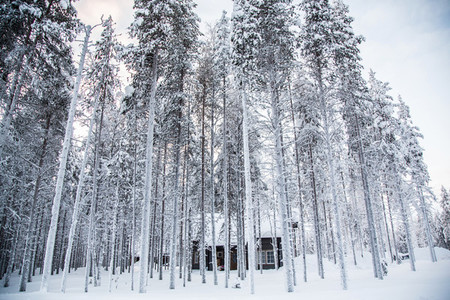 Lapland  Finland 2