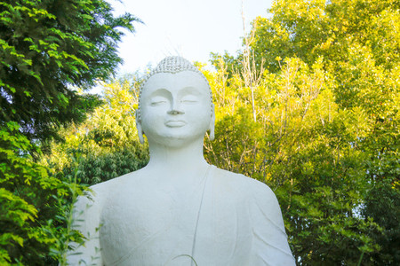 Buddhist Retreat Centre 2
