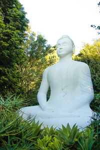 Buddhist Retreat Centre 5