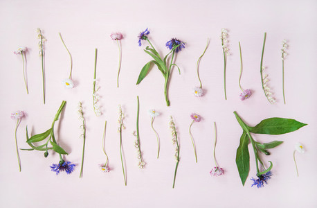 Flat lay of lily of the valley  cornflower  daisy and peony garden flowers in rows