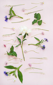 Flat lay of lily of the valley cornflower daisy and peony garden flowers vertical composition