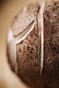 Macro photography of shiitake mushroom pileus  Creative food photography