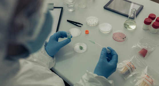 Scientist testing antivirus in a laboratory