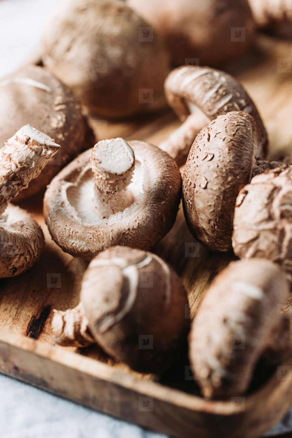 Shiitake mushrooms in a wooden bowl on a table  Macro food photography