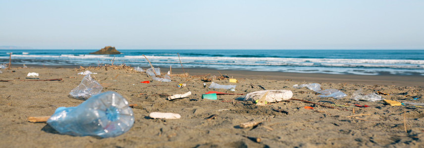 Dirty beach landscape full of waste