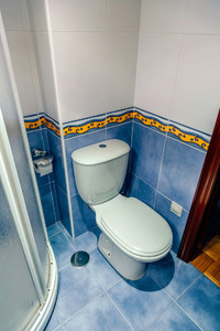 Small bathroom with toilet and shower screen