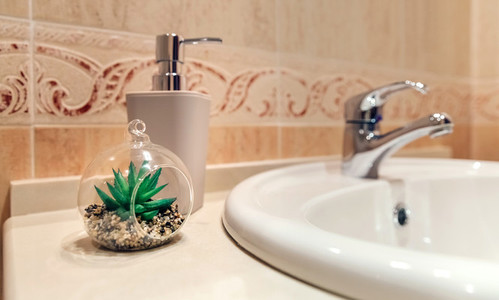 Washbasin with tap  soap dispenser and plant