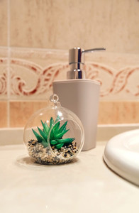 Bathroom detail with soap dispenser and plant
