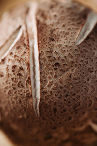 Macro photography of shiitake mushroom pileus  Creative food photography