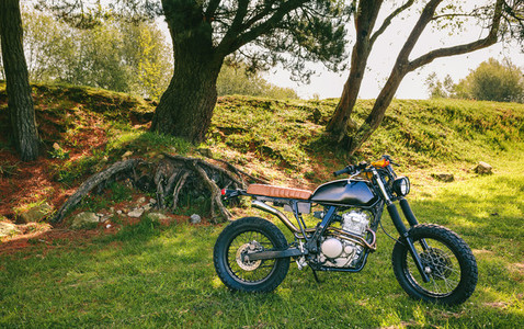 Custom motorcycle parked in the field