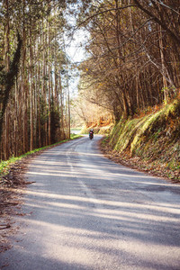 Forest road landscape with couple riding motorbike