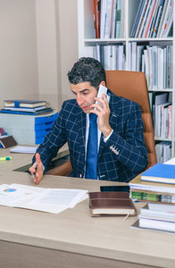 Businessman having discussion by phone in office