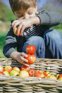 Happy kid playing with apples over wicker basket