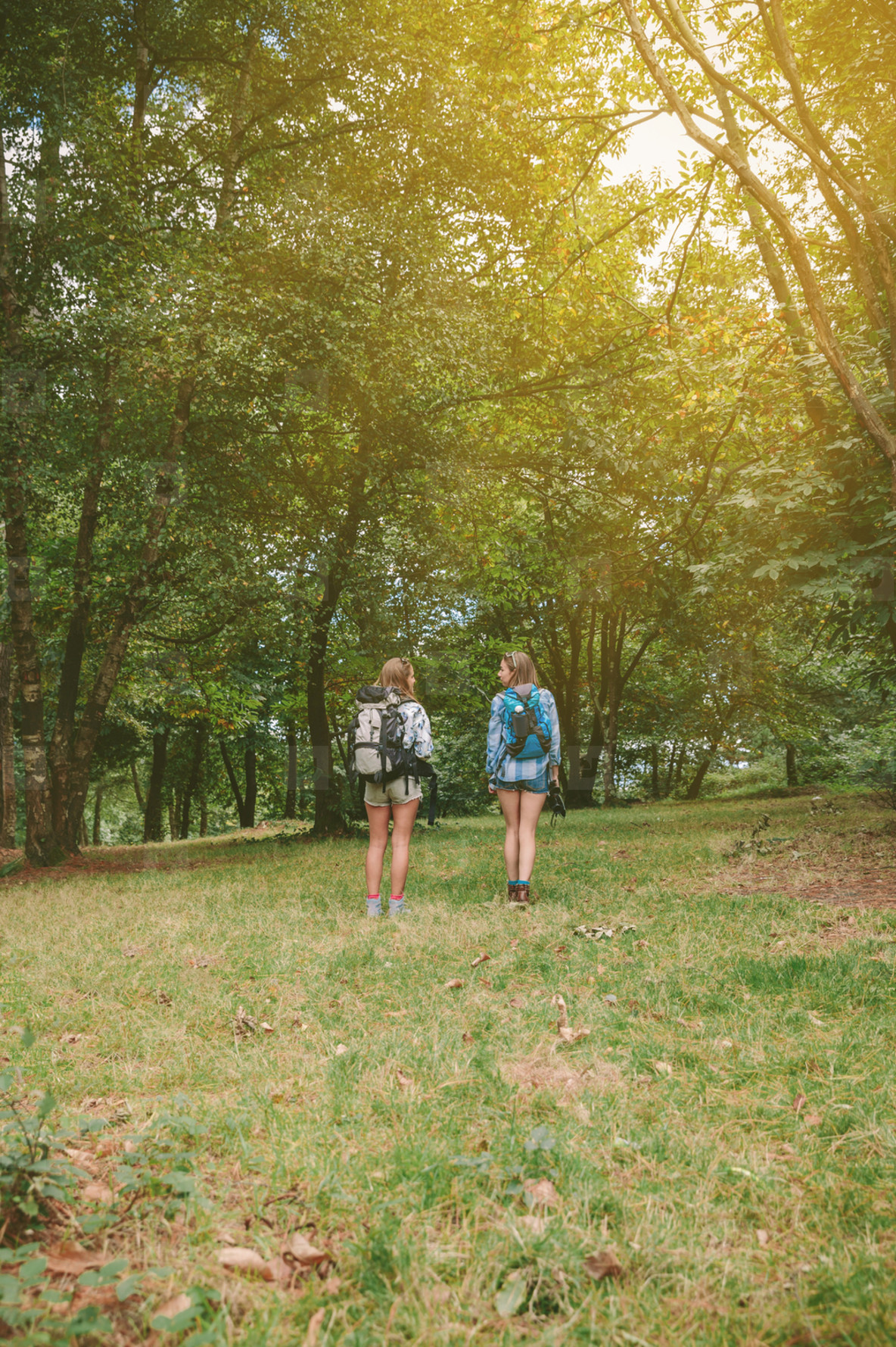 Two women friends with backpacks standing in forest