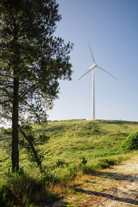 Forest landscape with wind turbines in the background