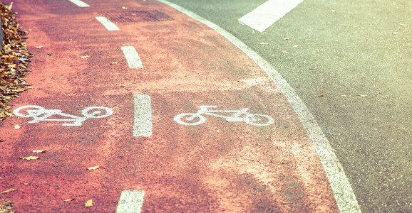 Bicycle road symbol on bike lane with autumn leaves