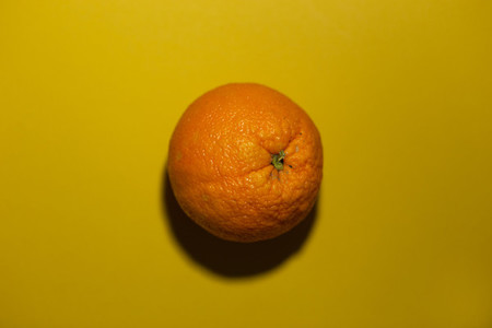 orange on a yellow colored backg