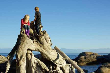 Brother and sister playing on driftwood at beach