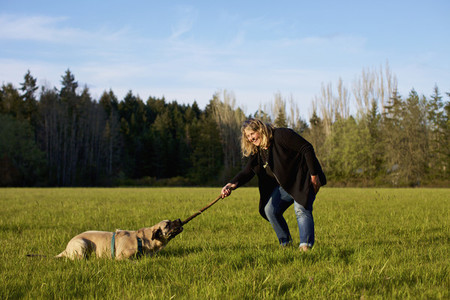 Woman and dog playing with stick in sunny rural field