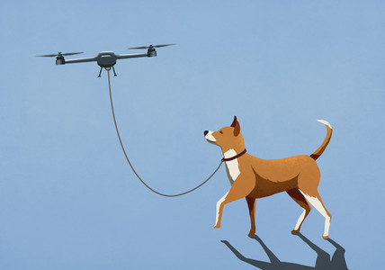 Drone taking dog for walk on leash