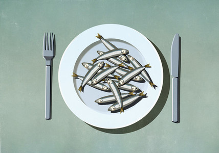 Bunch of sardines on plate