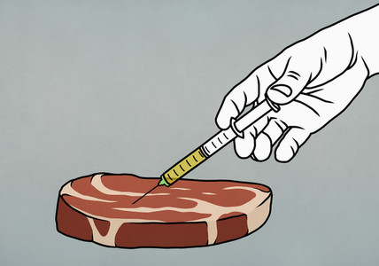 Hand injecting hormones into raw beef