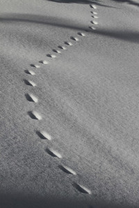 Footsteps on snowy slope