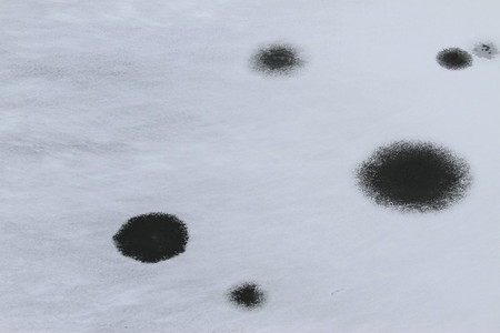 Black spots in snow