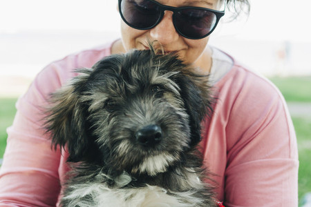 Close up woman holding cute Barbado da Terceira puppy