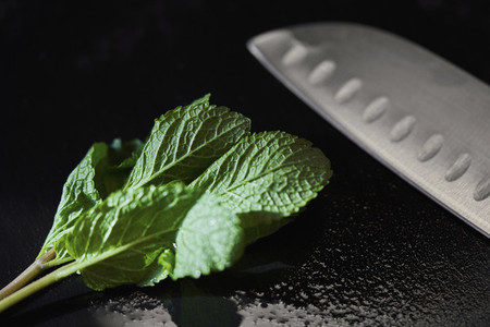 Close up mint leaf and knife
