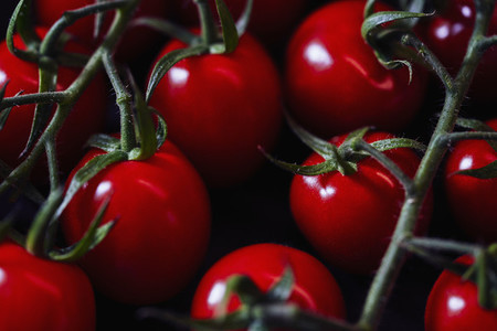 Close up vibrant red vine cherry tomatoes