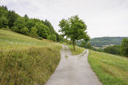 Divided path on rural  green hillside  Germany