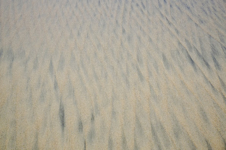Full frame pattern in beach sand