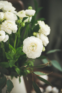 Spring white buttercup flowers in enamel jug  curtain behind