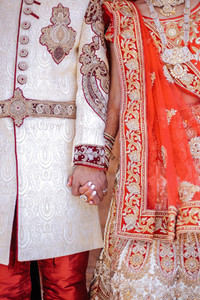 Indian Wedding Collection 3