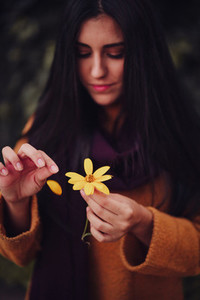 Young woman picks yellow flower Petals in the field